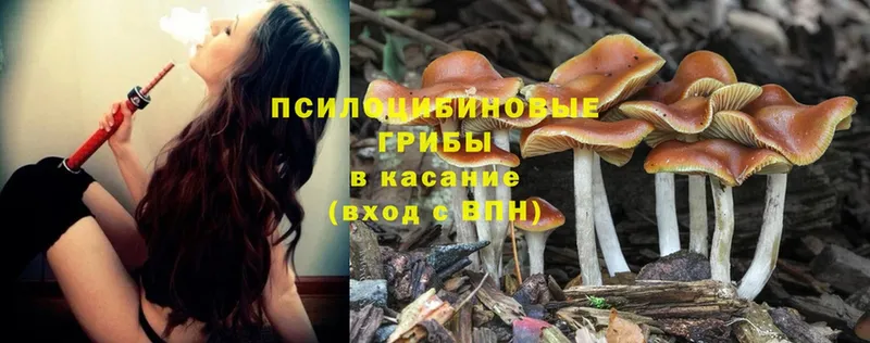 Галлюциногенные грибы Magic Shrooms  MEGA   Духовщина  наркотики 